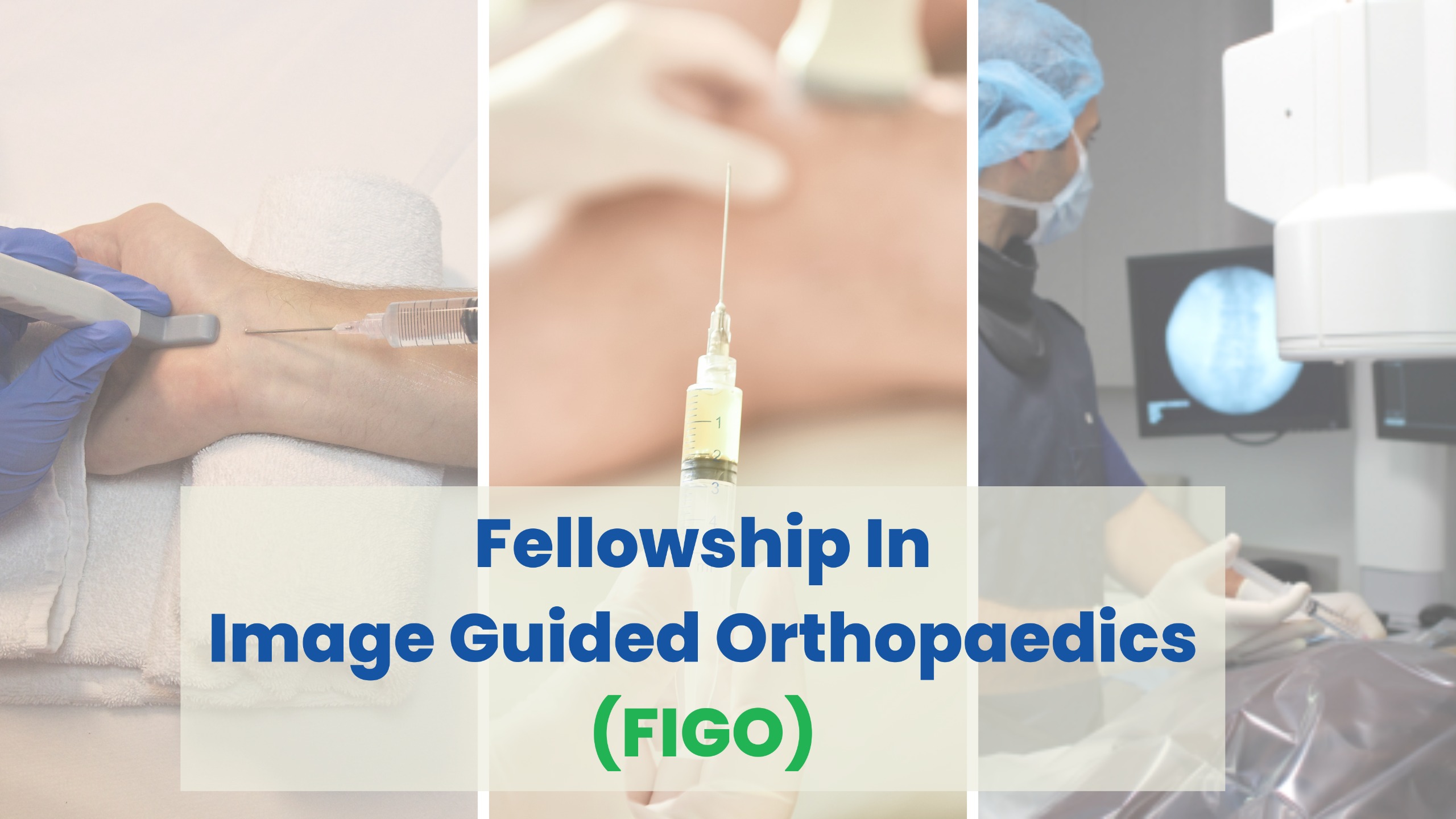figo_fellowship