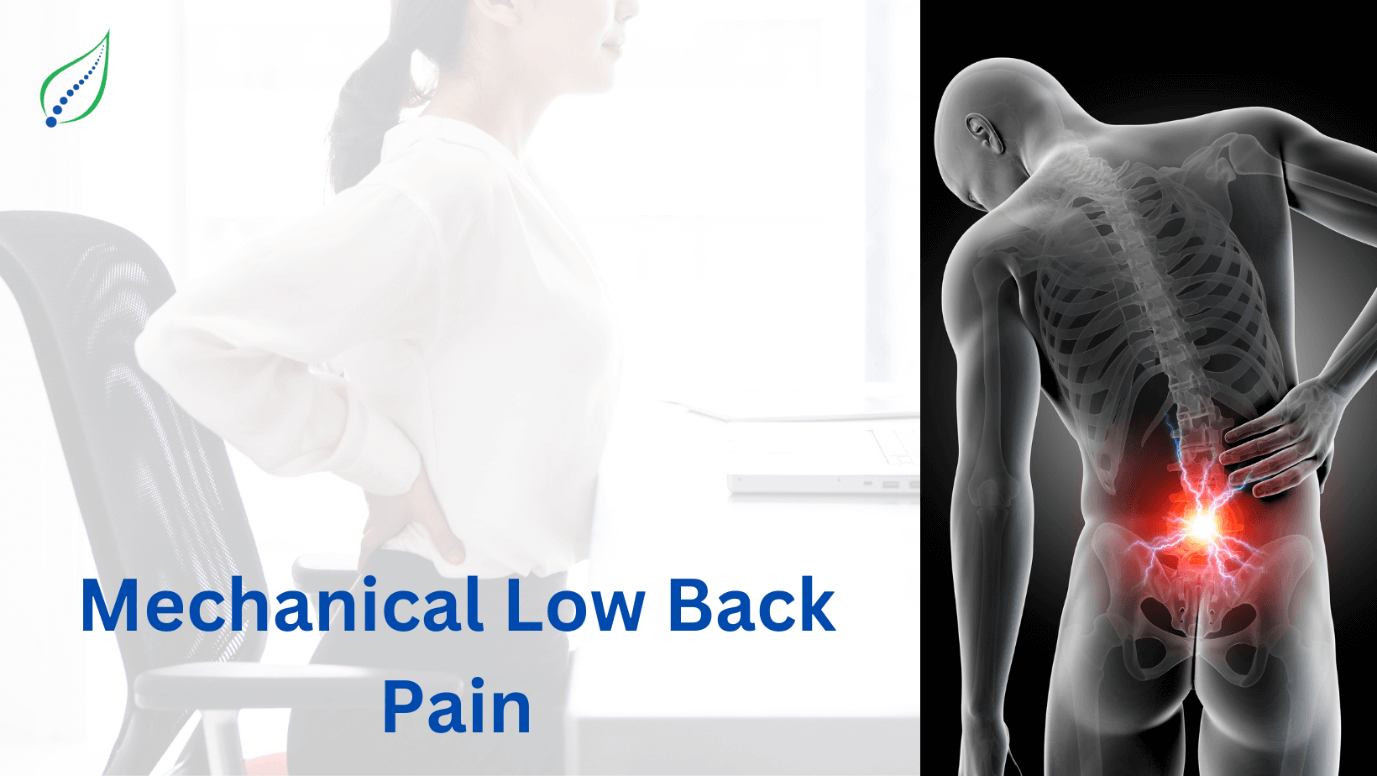 Mechanical Low Back Pain