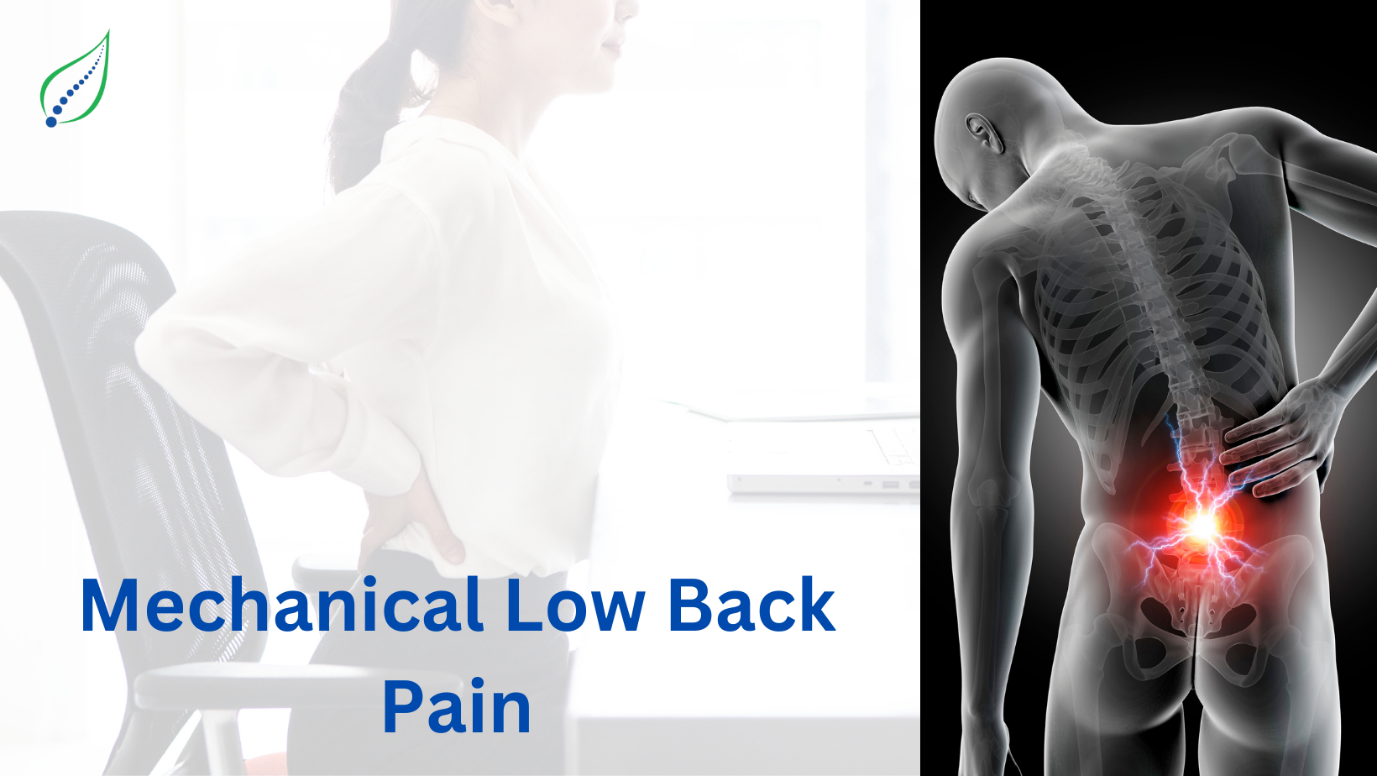 Mechanical Low back pain